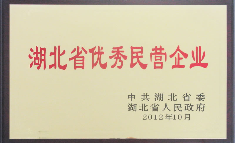湖北省優(yōu)秀民營企業(yè)